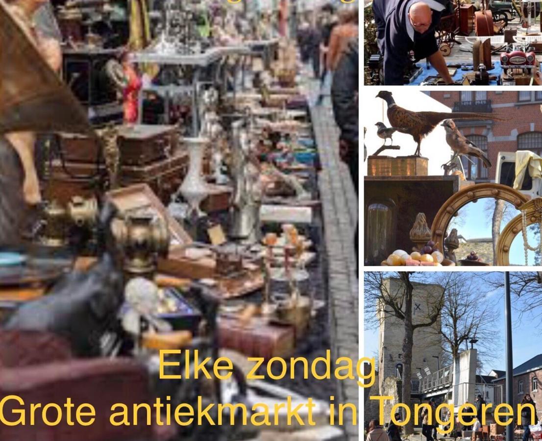 Vakantiehuisje Vds Tongeren Exteriér fotografie