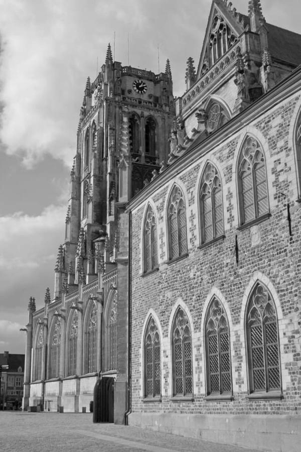 Vakantiehuisje Vds Tongeren Exteriér fotografie
